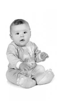 Brain Development